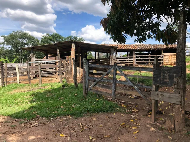 Imagem 13: 0 Terreno / lote com 12 dormitórios