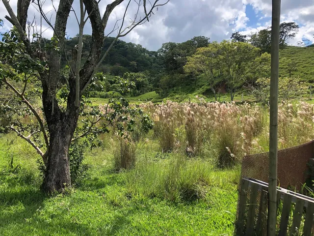 Imagem 12: 0 Terreno / lote com 12 dormitórios