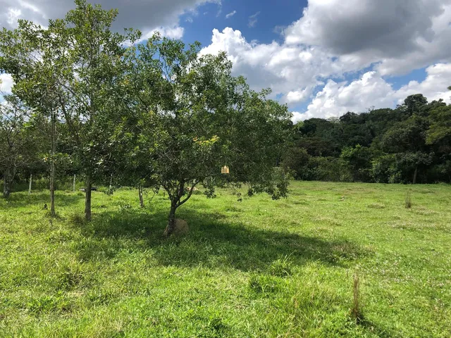 Imagem 10: 0 Terreno / lote com 12 dormitórios