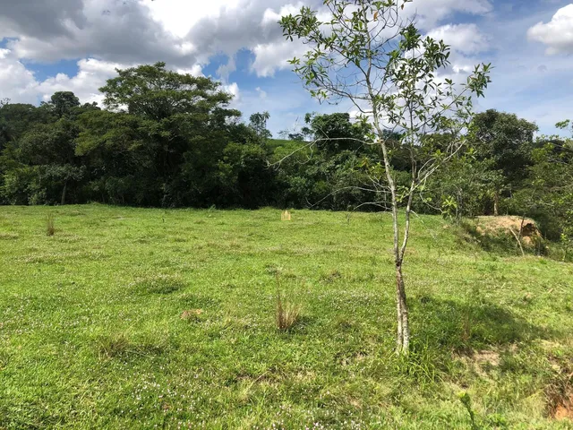 Imagem 11: 0 Terreno / lote com 12 dormitórios