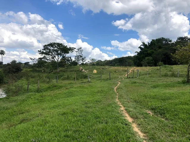 Imagem 7: 0 Terreno / lote com 12 dormitórios