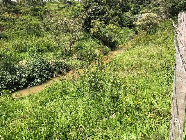 Imagem 9: 0 Terreno / lote com 12 dormitórios