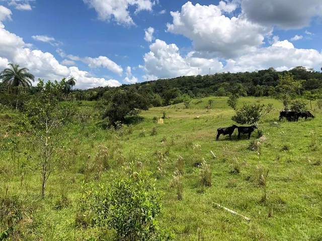 Imagem 14: 0 Terreno / lote com 12 dormitórios