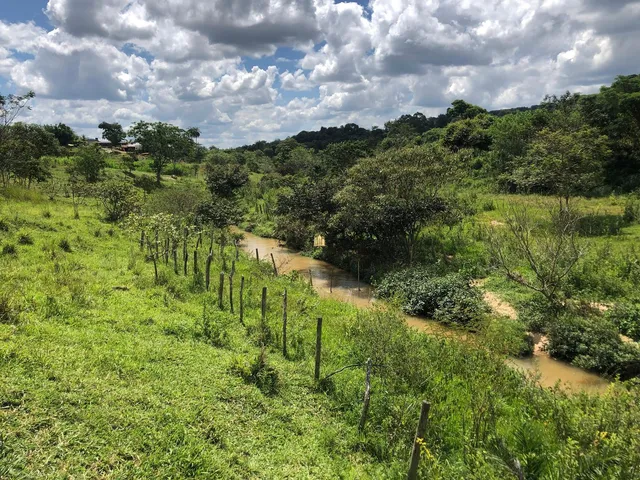Imagem 15: 0 Terreno / lote com 12 dormitórios