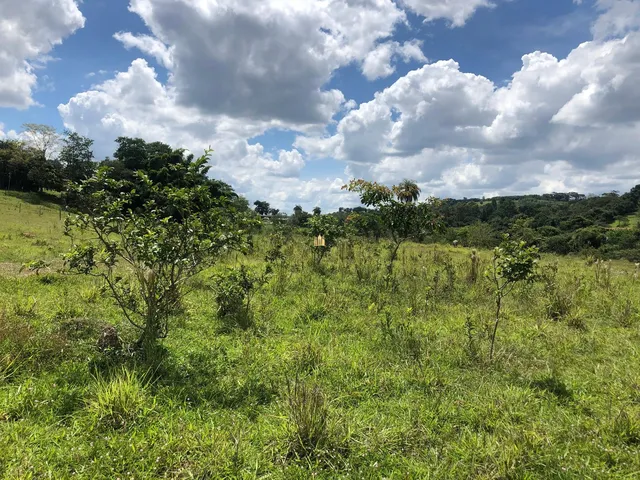 Imagem 3: 0 Terreno / lote com 12 dormitórios