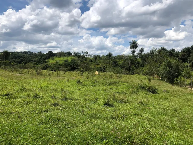 Imagem 16: 0 Terreno / lote com 12 dormitórios