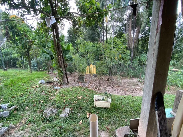 Imagem 11: 0 Fazenda / sítio com 5 dormitórios