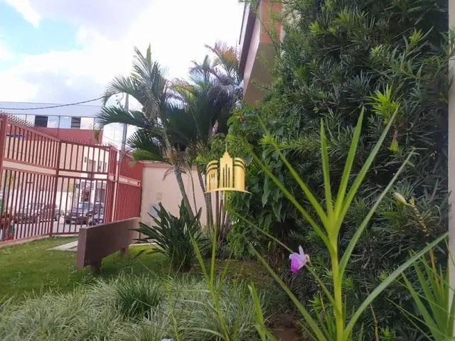Imagem 12: 0 Apartamento com 3 dormitórios