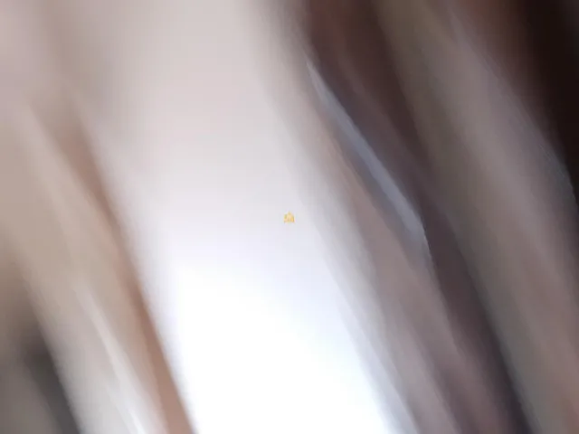Imagem 9: 0 Apartamento com 3 dormitórios