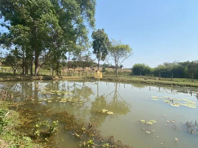 Imagem 14: 0 Fazenda / sítio com 4 dormitórios