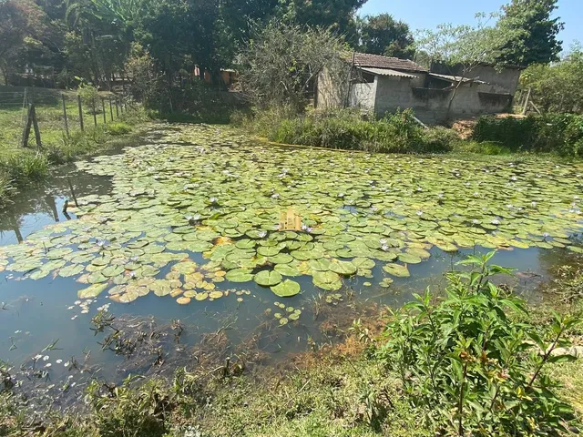 Imagem 15: 0 Fazenda / sítio com 4 dormitórios