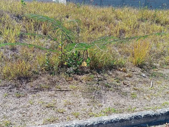 Imagem 3: Terreno À Venda em Esmeraldas-Mg, Bairro Bandeirantes 528M² de Área
