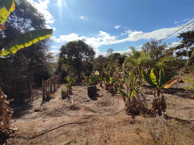Imagem 4: 0 Fazenda / sítio com 3 dormitórios