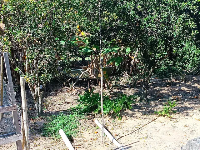 Imagem 11: 0 Fazenda / sítio com 4 dormitórios