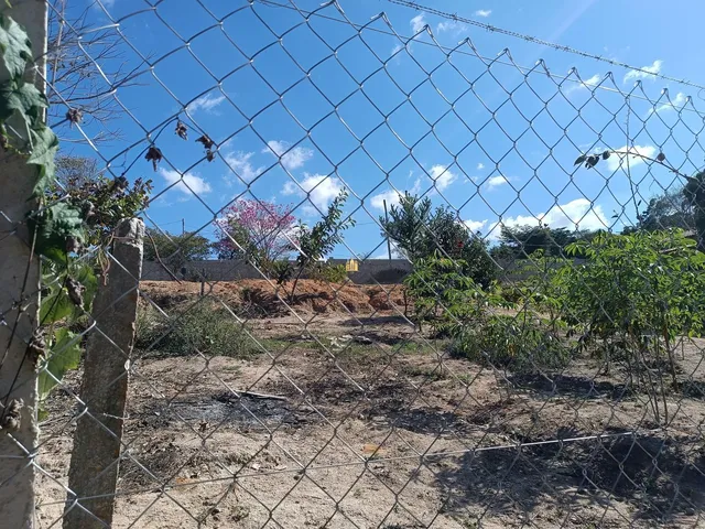 Imagem 9: 0 Fazenda / sítio com 4 dormitórios