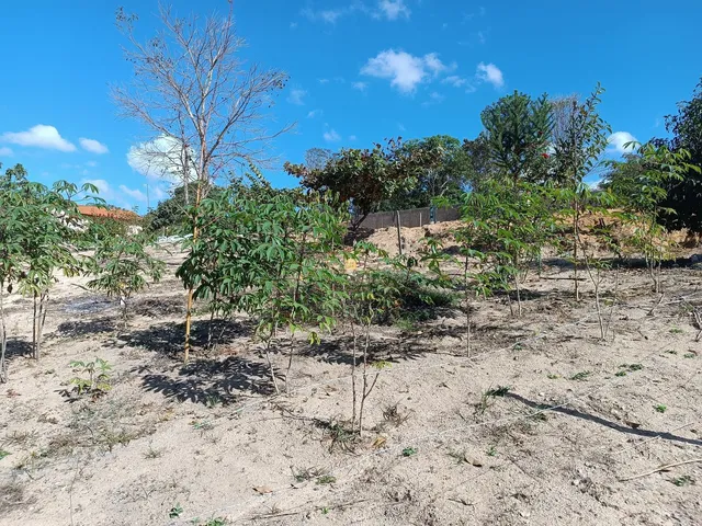 Imagem 16: 0 Fazenda / sítio com 4 dormitórios