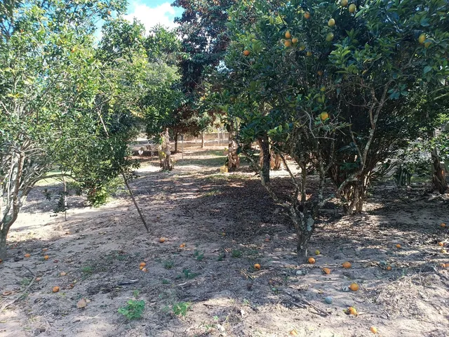 Imagem 15: 0 Fazenda / sítio com 4 dormitórios