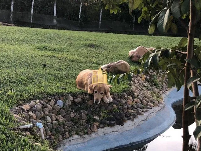 Imagem 11: Lindo Sítio À Venda no Condomínio Vale do Ipê Amarelo em Esmeraldas - 11.560 M²