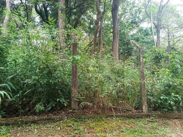 Imagem 3: Terreno Amplo À Venda no Condomínio Vale do Ipê Amarelo em Esmeraldas - 16.000 M²