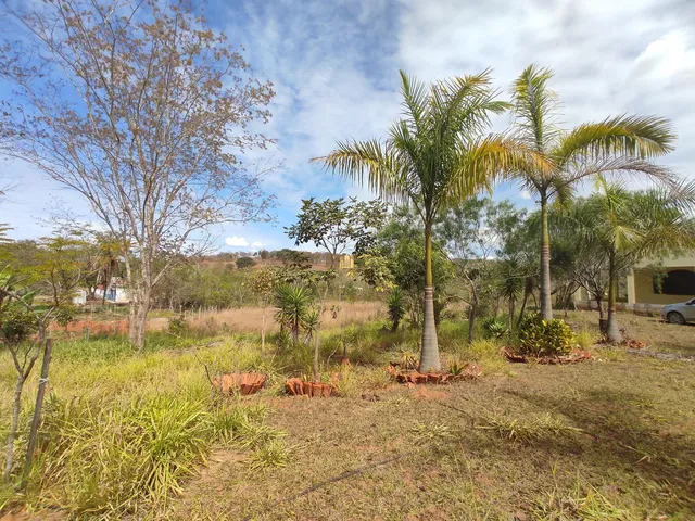 Imagem 7: Sítio de Luxo À Venda - Região Encontro das Águas em Esmeraldas-Mg: 4 Quartos, 1 Suíte, 3843 M² de Área!