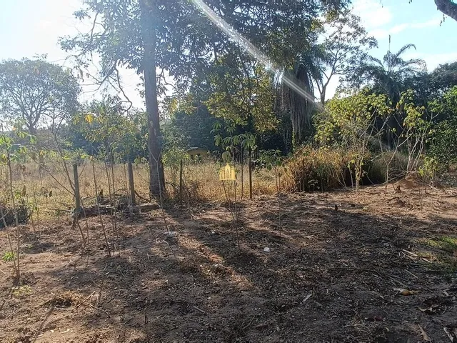 Imagem 2: Venda de Espetacular Sítio em Vista Alegre, Esmeraldas, Mg - 95.000M² com Casas, Piscina e Área Gourmet, R$ 1.450.000