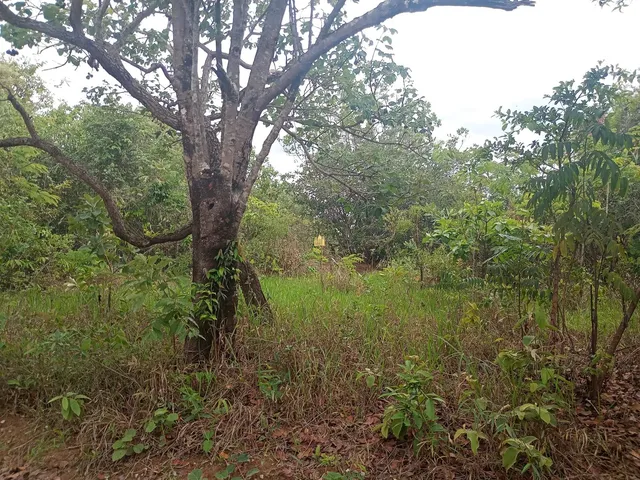 Imagem 7: Venda de Lote 360M² no Bairro Pousada do Lago, Região Dumaville - Esmeraldas por R$45.000