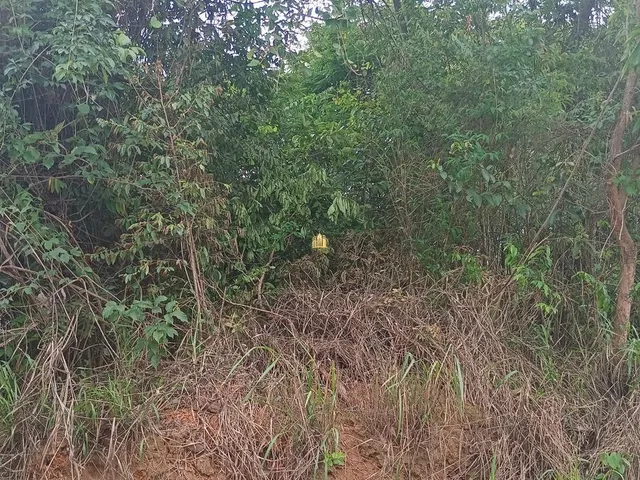 Imagem 2: Venda de Lote 360M² no Bairro Pousada do Lago, Região Dumaville - Esmeraldas por R$45.000