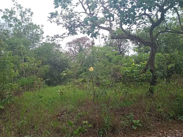 Imagem 3: Venda de Lote 360M² no Bairro Pousada do Lago, Região Dumaville - Esmeraldas por R$45.000