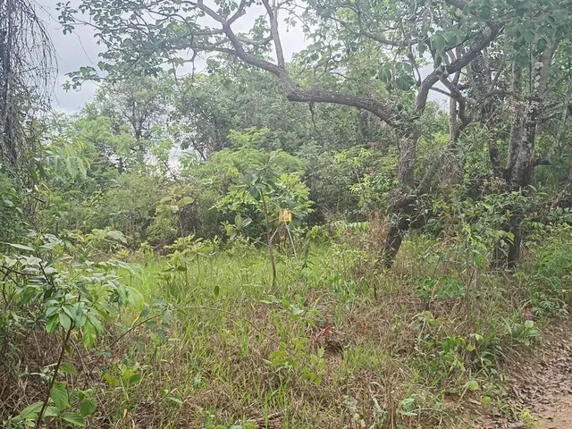 Imagem 8: Venda de Lote 360M² no Bairro Pousada do Lago, Região Dumaville - Esmeraldas por R$45.000