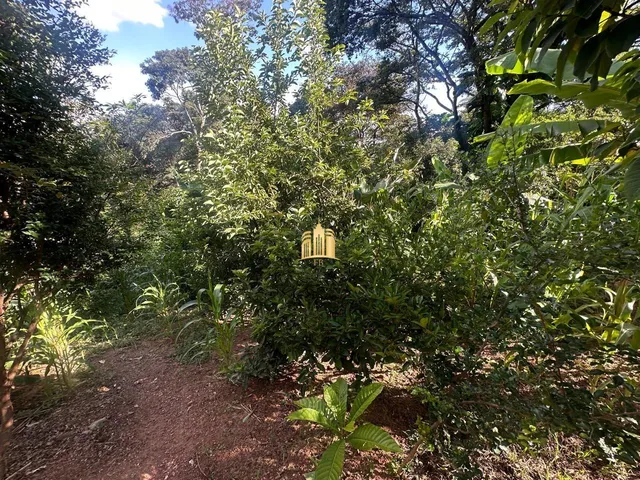 Imagem 4: Terreno 5.000M² À Venda na Região Pimenta, Esmeraldas ? Oportunidade por R$250 Mil