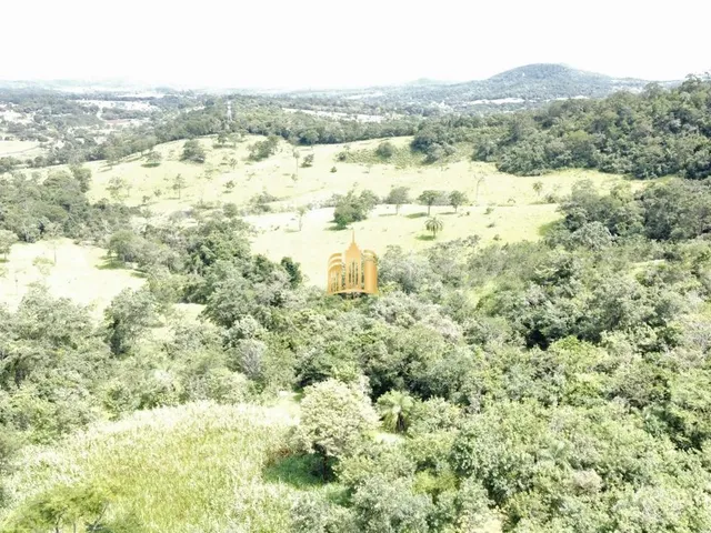 Imagem: Fazenda Caio Martins 34,5 Ha com Casa