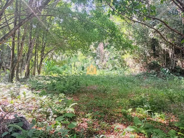 Imagem 11: Sítio À Venda Recanto Verde 2: 20.000M², Casa, Chalés, Piscina, Pomar e Estuda Permuta em Bh!