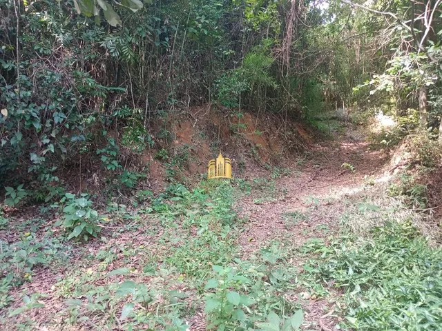 Imagem 12: Sítio À Venda Recanto Verde 2: 20.000M², Casa, Chalés, Piscina, Pomar e Estuda Permuta em Bh!