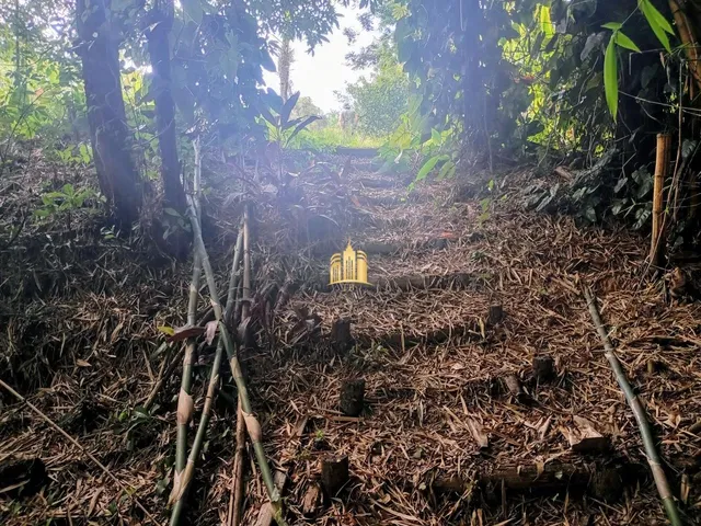 Imagem 15: Sítio À Venda Recanto Verde 2: 20.000M², Casa, Chalés, Piscina, Pomar e Estuda Permuta em Bh!