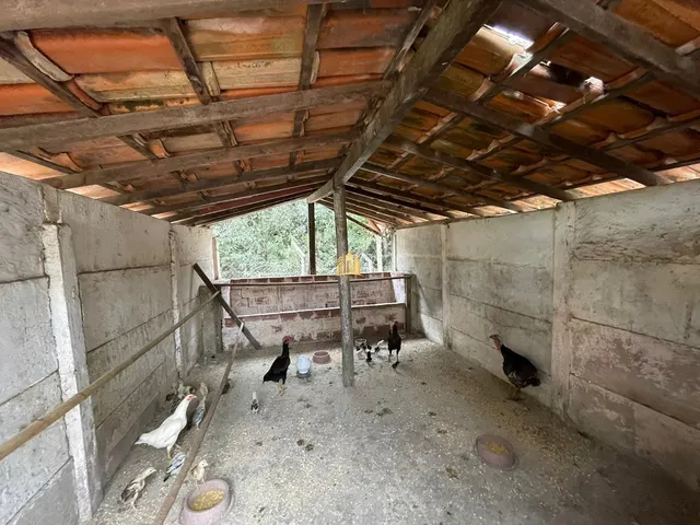 Imagem 3: Sítio de Luxo À Venda em Esmeraldas-Mg - Um Paraíso no Campo!