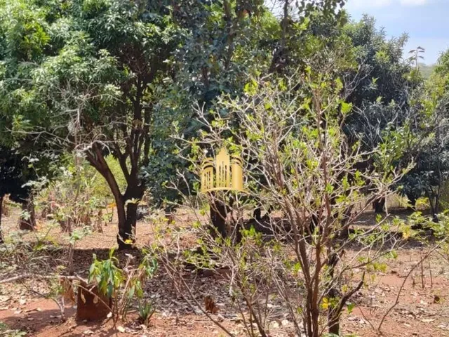 Imagem 11: Chácara À Venda no Condomínio Turmalina, Esmeraldas 5.600M² com Segurança 24H