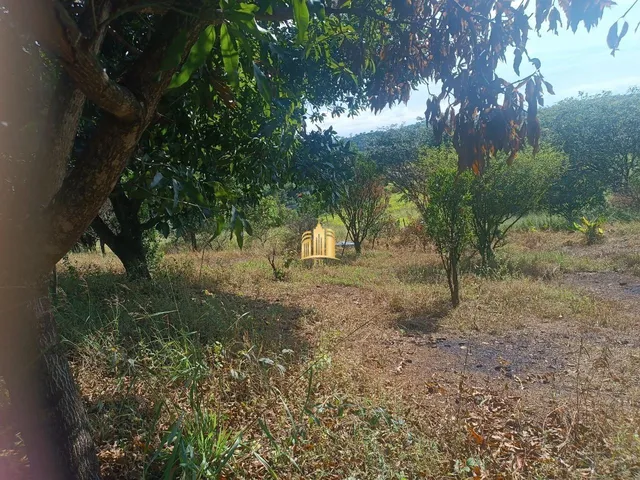 Imagem: Sítio À Venda Condomínio Sete Lagos