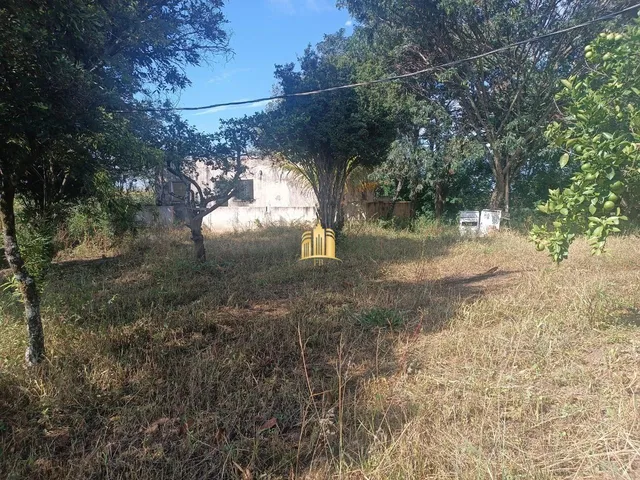 Imagem 2: Sítio À Venda Condomínio Sete Lagos: 3 Casas, 6 Quartos e Pomar!