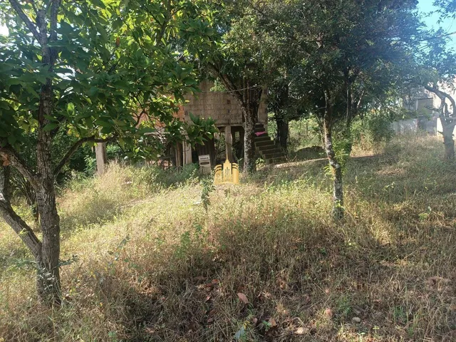 Imagem 14: Sítio À Venda Condomínio Sete Lagos: 3 Casas, 6 Quartos e Pomar!