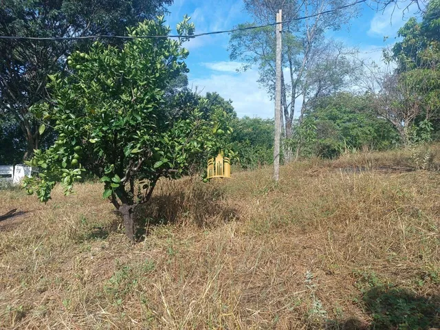 Imagem 13: Sítio À Venda Condomínio Sete Lagos: 3 Casas, 6 Quartos e Pomar!