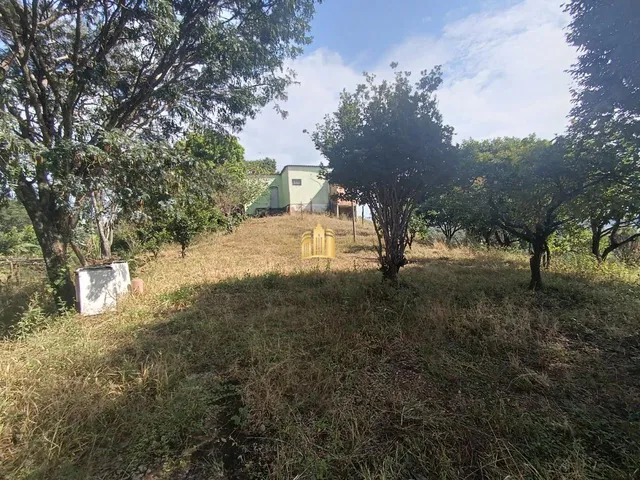 Imagem 9: Sítio À Venda Condomínio Sete Lagos: 3 Casas, 6 Quartos e Pomar!