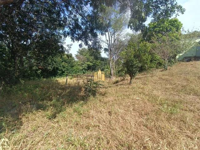 Imagem 7: Sítio À Venda Condomínio Sete Lagos: 3 Casas, 6 Quartos e Pomar!