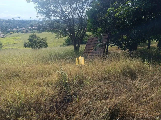 Imagem 5: Sítio À Venda Condomínio Sete Lagos: 3 Casas, 6 Quartos e Pomar!