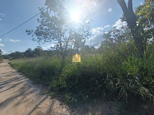 Imagem 3: Lote 360M² À Venda no Bairro Maceió ? Terreno Plano, Excelente Oportunidade