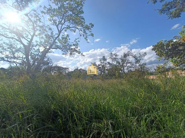 Imagem: Lote 360M² À Venda no Bairro Maceió