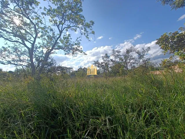 Imagem 3: Lote 360M² À Venda no Bairro Maceió, Terreno Plano, Excelente Oportunidade