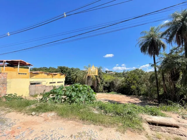 Imagem 7: Chácara de 5.000M² À Venda no Condomínio Topázio - R$400.000 - Aceita Proposta