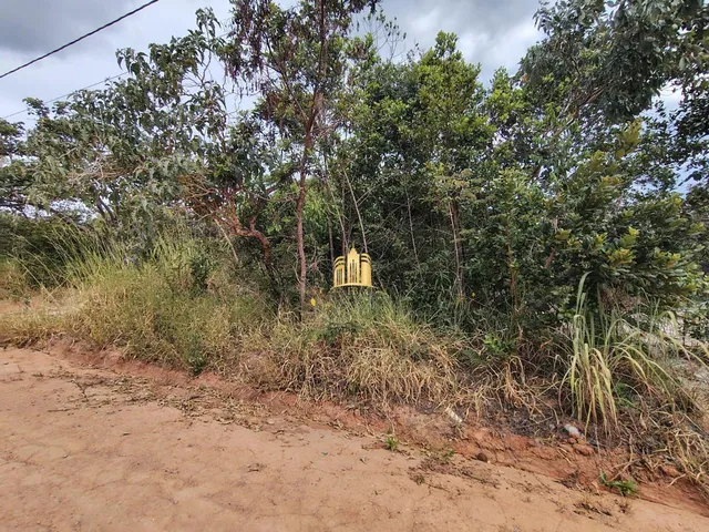 Imagem 6: Terreno À Venda Encontro das Águas: 4.076M², Ótima Localização e Topografia!