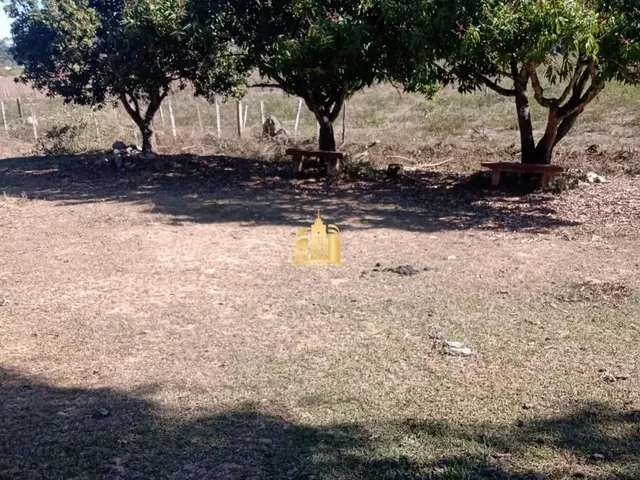Imagem 10: Sítio Cidade Jardim 20.359M² (2 Hectares) Totalmente Plano, Casa 3 Quartos R$ 690.000,00 Mil