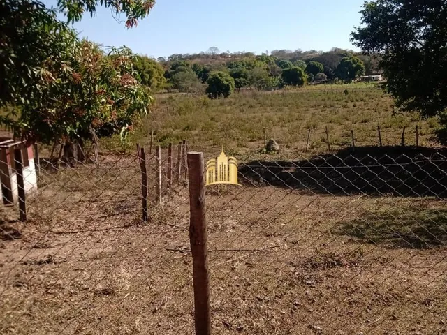 Imagem 6: Sítio Cidade Jardim 20.359M² (2 Hectares) Totalmente Plano, Casa 3 Quartos R$ 690.000,00 Mil